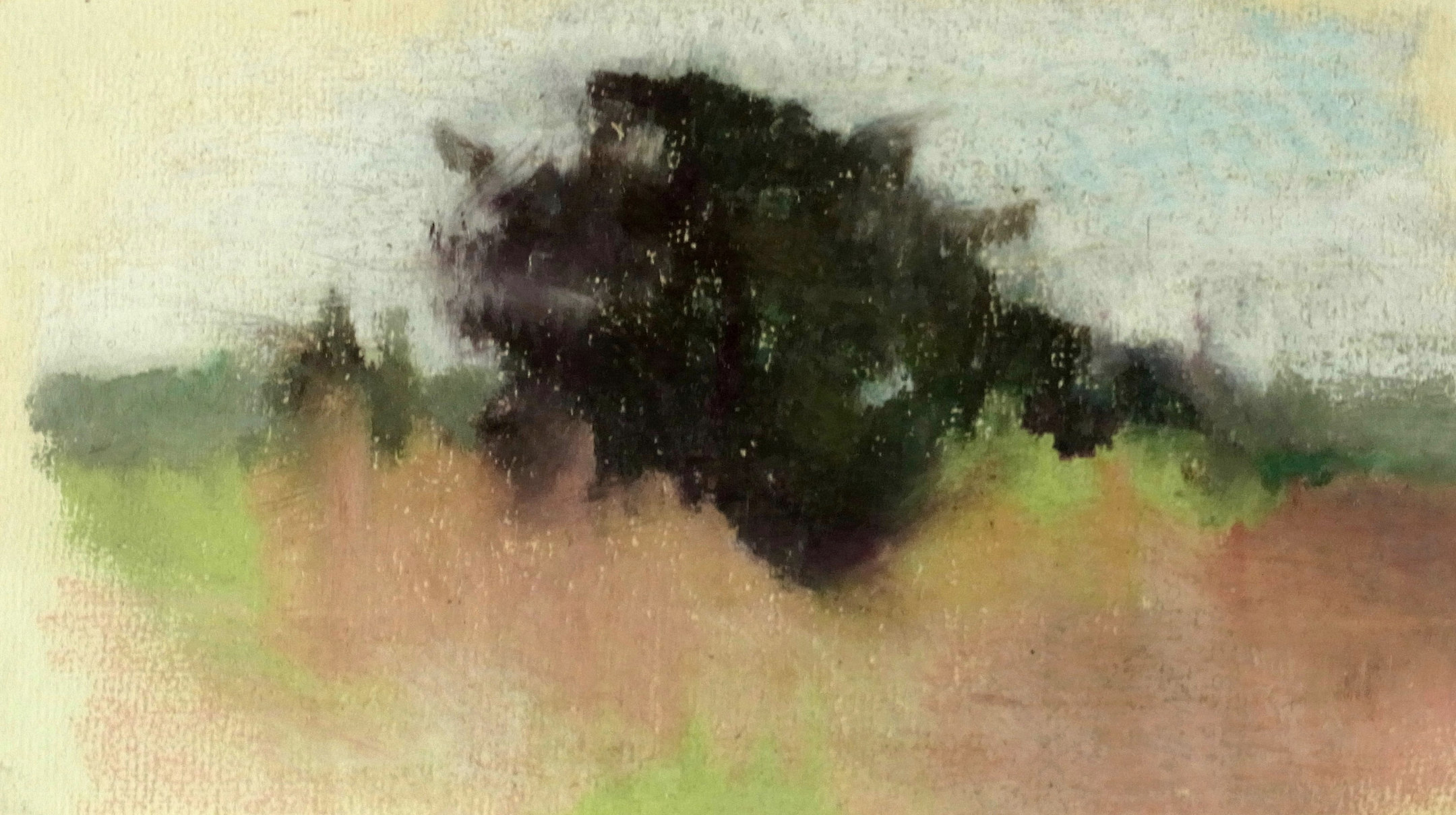 The Big Tree &mdash; Jasmin Harell