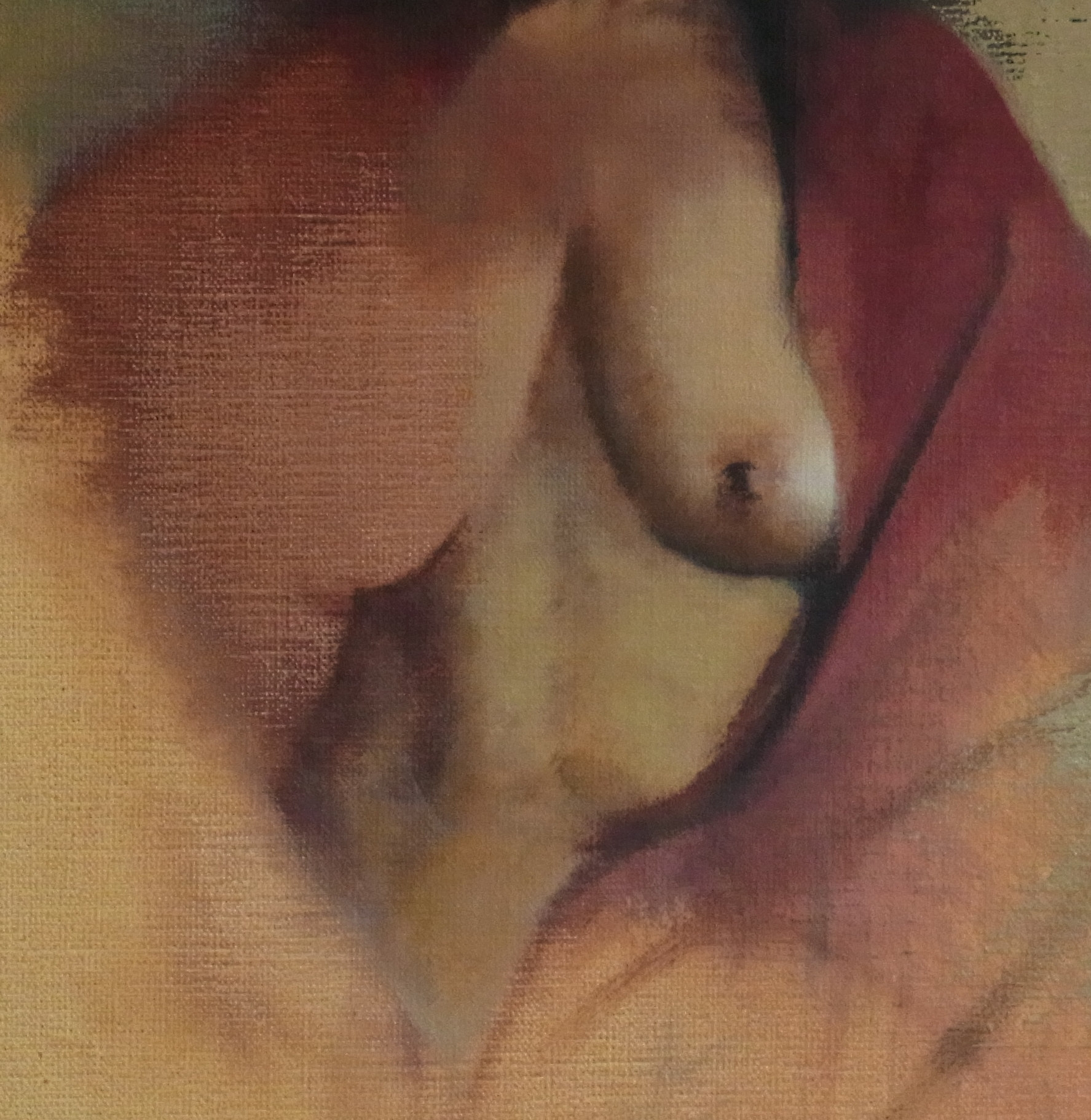 Wrapped in Veils &mdash; Jasmin Harell