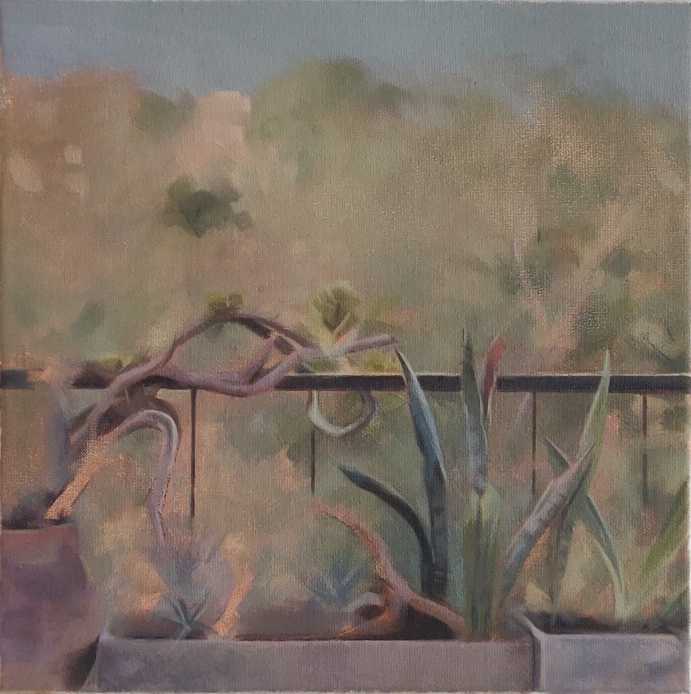 From the Balcony &mdash; Jasmin Harell