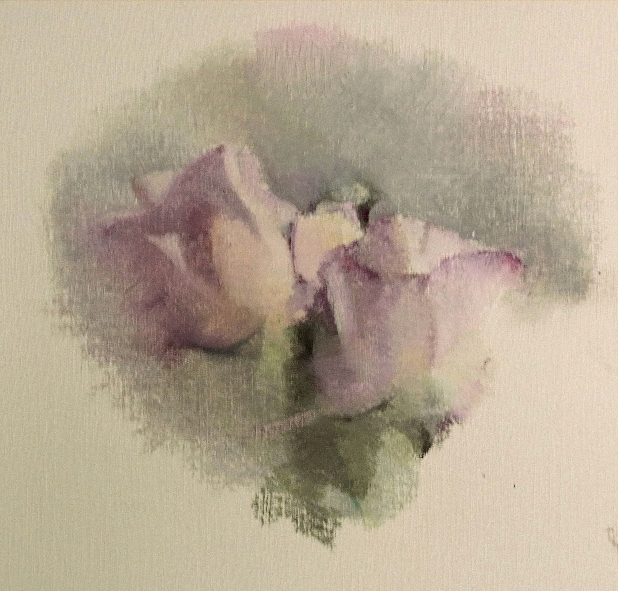 Winter Roses &mdash; Jasmin Harell