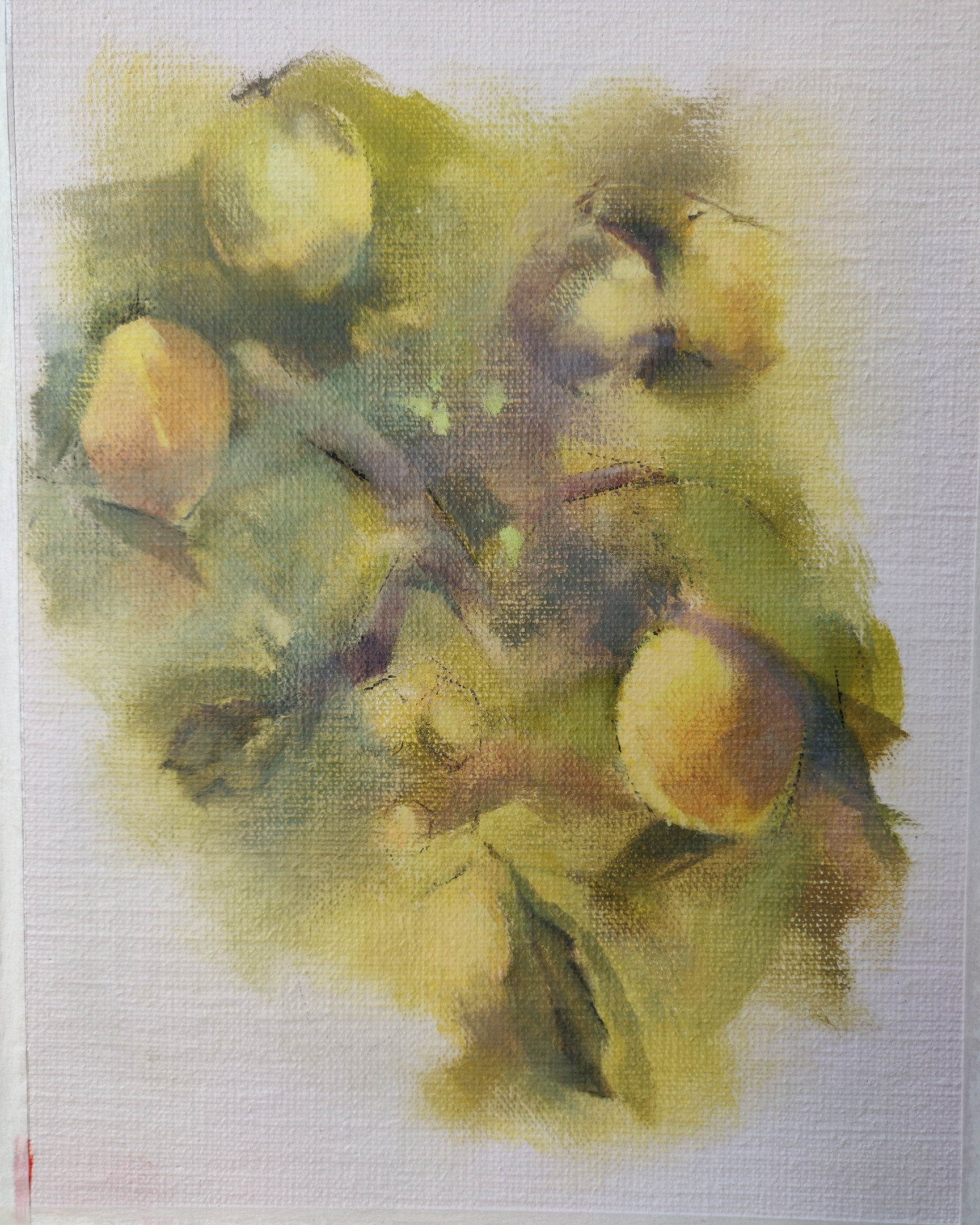 The Lemon Tree &mdash; Jasmin Harell